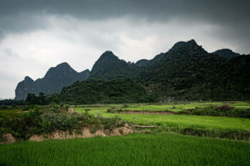 A green field with mountains in the background, located in Vietnam.