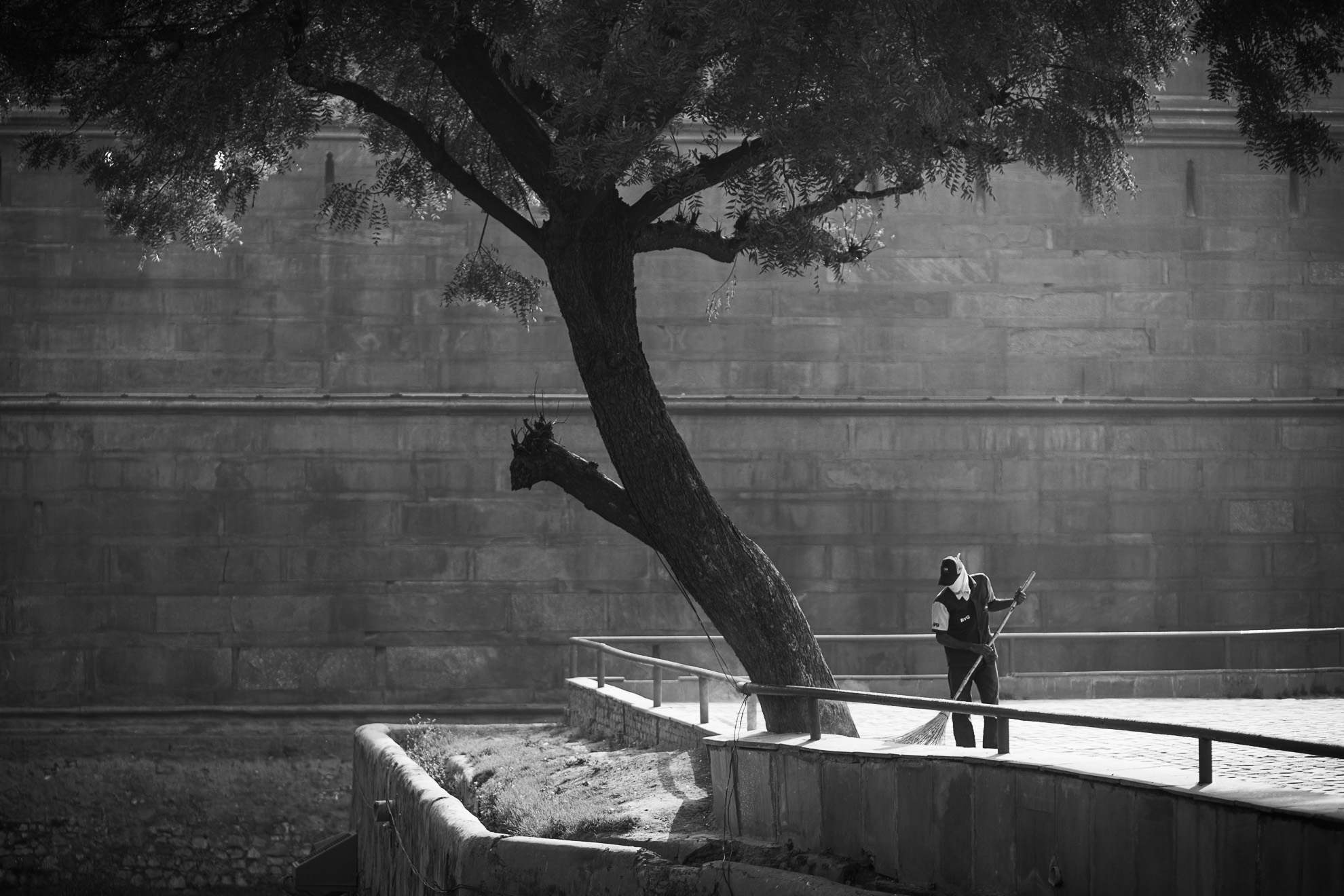 Photo en noir et blanc d’un homme debout sous un arbre, exprimant son indépendance.