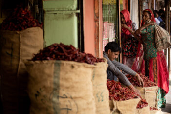 Un groupe de personnes debout devant des sacs de piments en Inde.