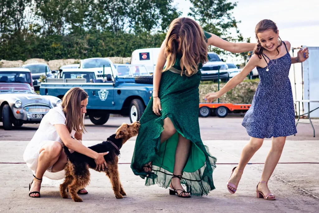 Le chien du marié mord la robe d'une invitée.