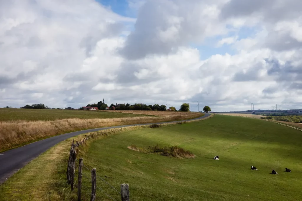 Une route menant à un champ.